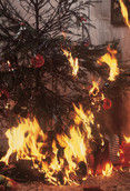 ___*burning tree*___ - 