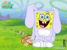 Spongebob Schwammkopf - 