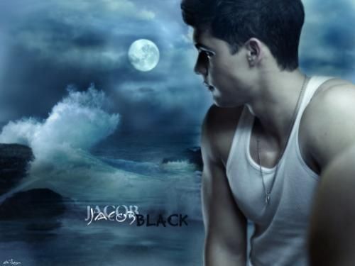 Jacob Black & co. - 