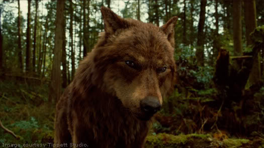 Jacob Black & co. - 