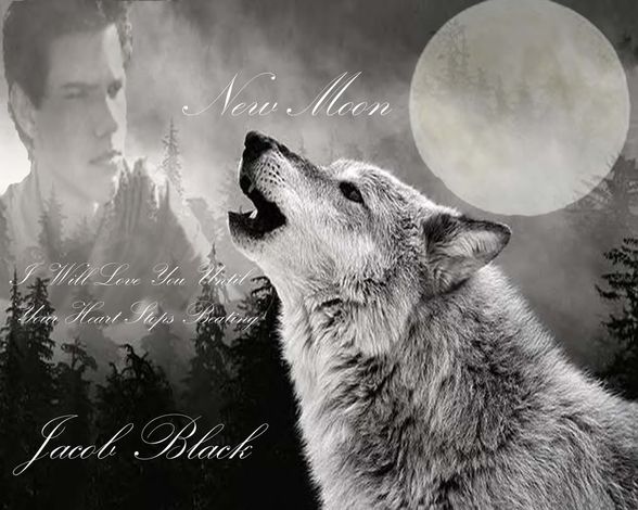 Jacob Black & co. - 