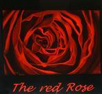 Rose* - 