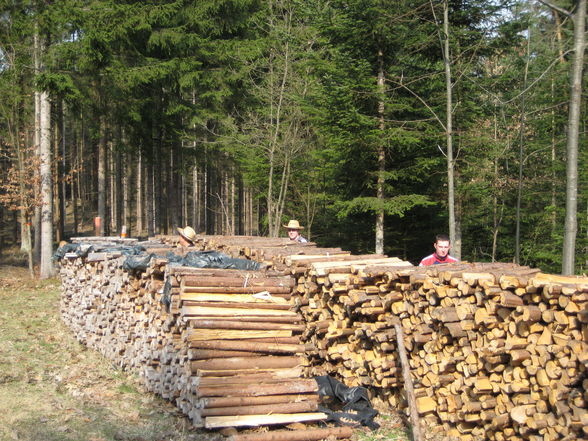 Wandern in Freistadt - 