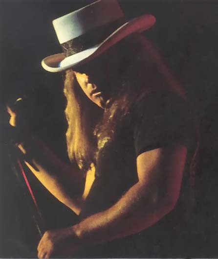 Ronnie Van Zant - 