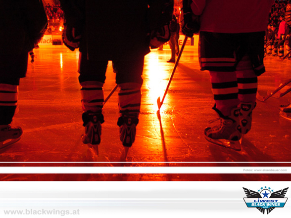 EHC BlackWings Linz - 