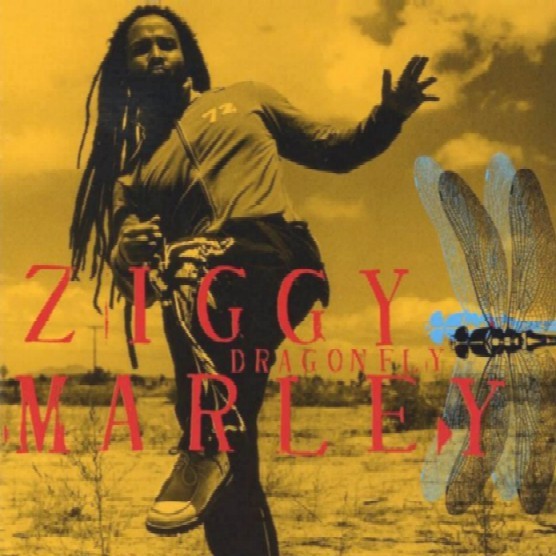 Ziggy Marley - 