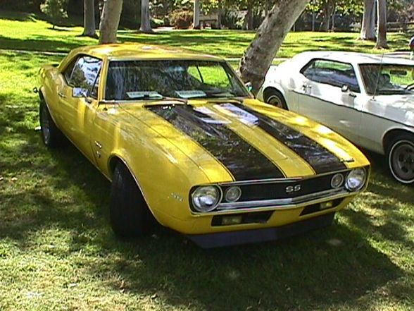 Muscle Cars - 