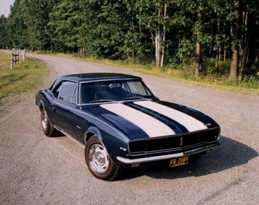 Muscle Cars - 