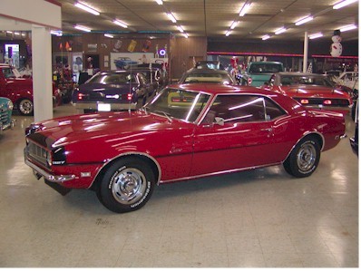 Muscle Cars - 