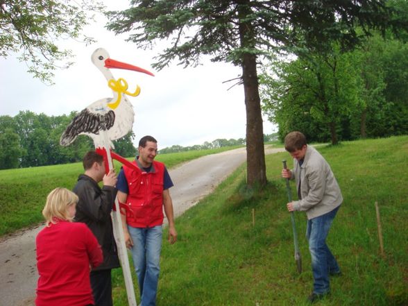 Storch aufstellen beim Hubert - 