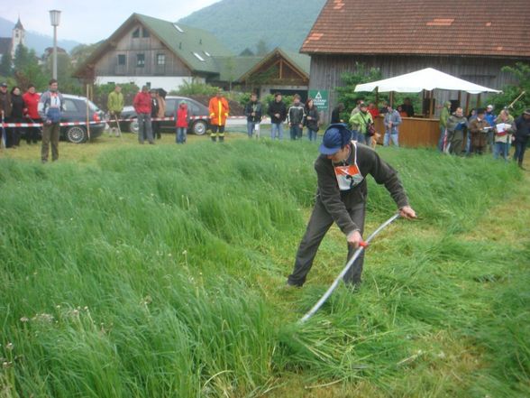 Bezirksmähen - 