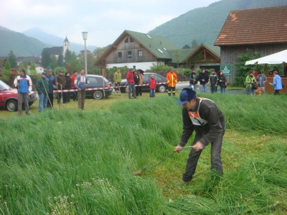 Bezirksmähen - 