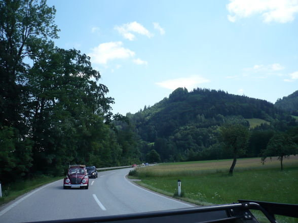 Käfertreffen Gschwand - 