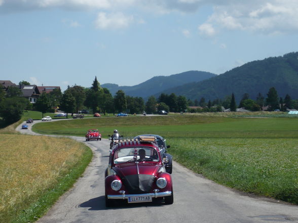 Käfertreffen Gschwand - 