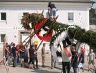 Maibaum Aufstellen - 