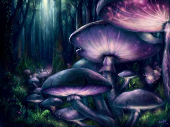 Mushroom - 