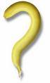 ::::::::verschiedene::::::::Bananen::::: - 