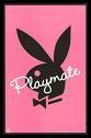 Playboys - 