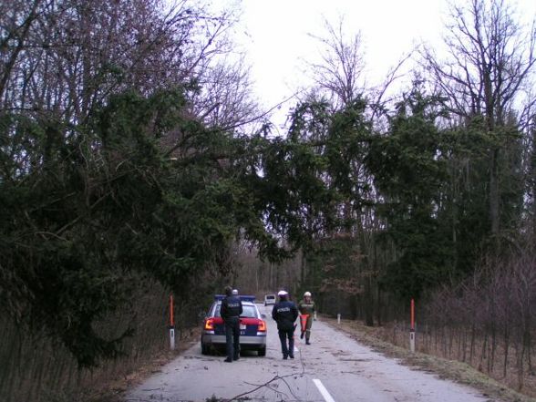 Sturmschäden - 