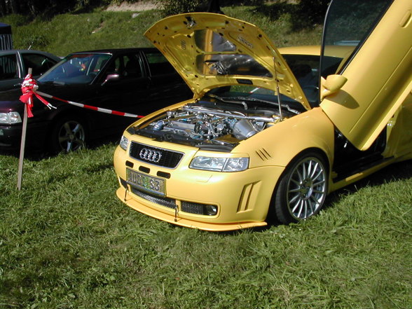 VW- Audi Treffen Waldhausen  - 