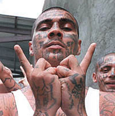 MS13 - 