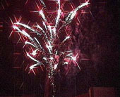 Silvester2007 - 