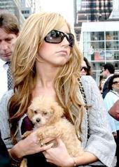 ♥ Ashley & her dogs. - 