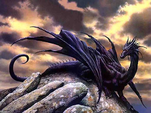 **Drachen** - 