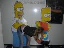 simpsonsbilder - 