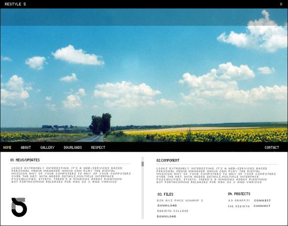Webinterfaces - 