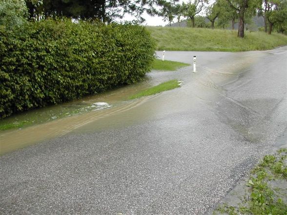 Hochwasser 2009 - 