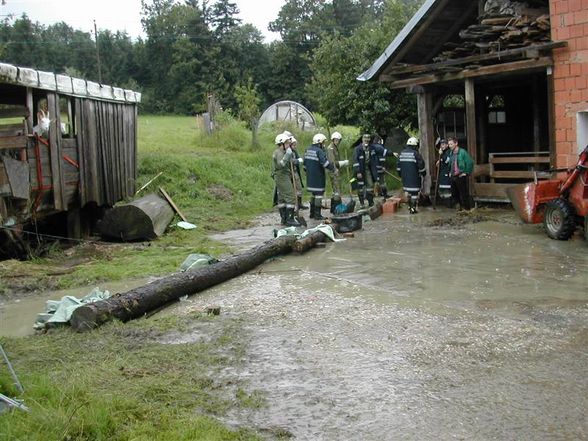 Hochwasser 2009 - 