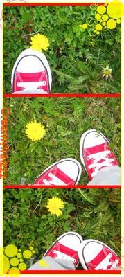 Convers und Vans - 