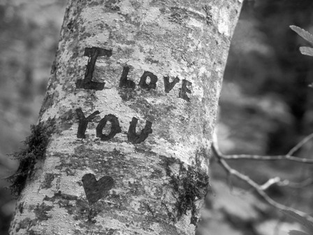 i love you - 