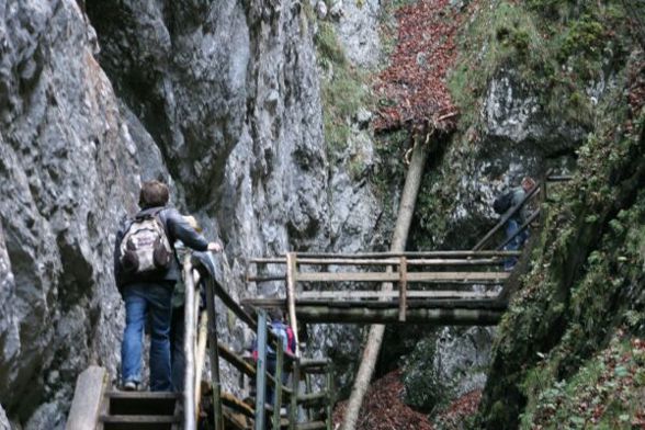 Wandertag 9.10.2007 - 