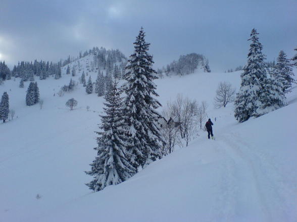 skitour - 