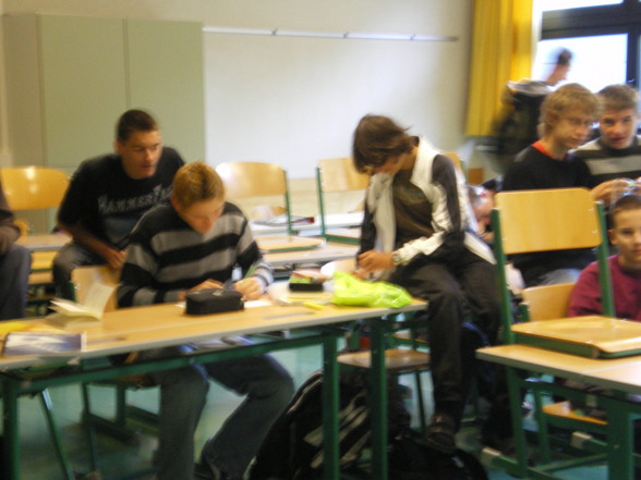 6c_borgscheibbs - 