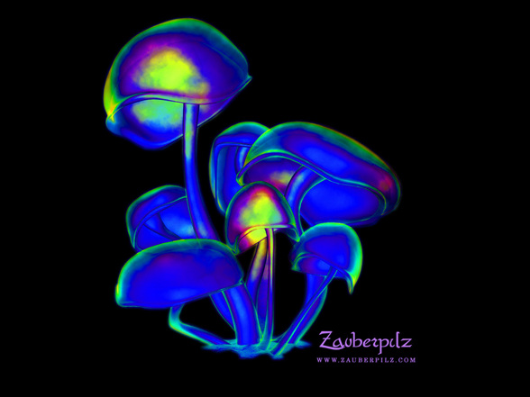 ShRoOmS - 