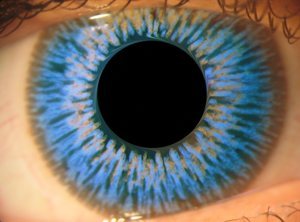 Blaue augen - 