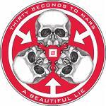 a beautiful lie - 