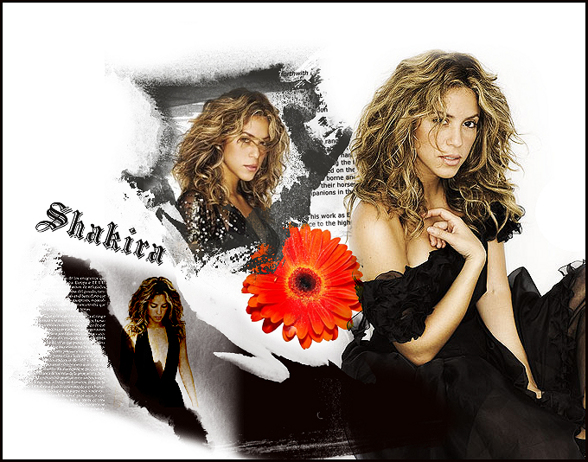 Shaki! - 