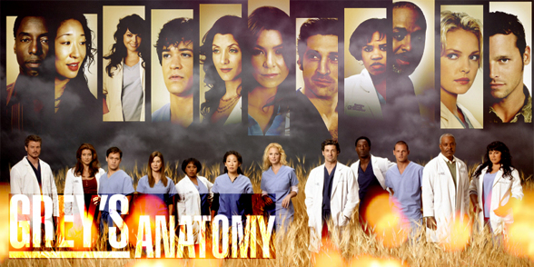 Grey's Anatomie - 