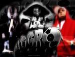 AGGRO - 