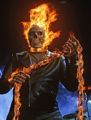 ghost rider 229044