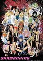 Shaman King 288790