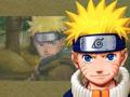 Naruto 36043