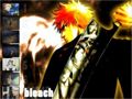 Bleach 47597