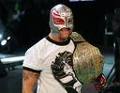 Rey Mysterio 233163