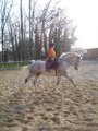 Beim reiten !!! 246647