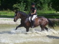 Beim reiten !!! 246649